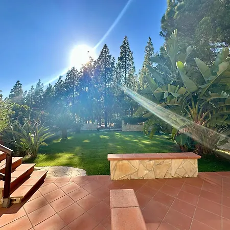 Palm House - Seaside Vacation Home! Prázdninový dům