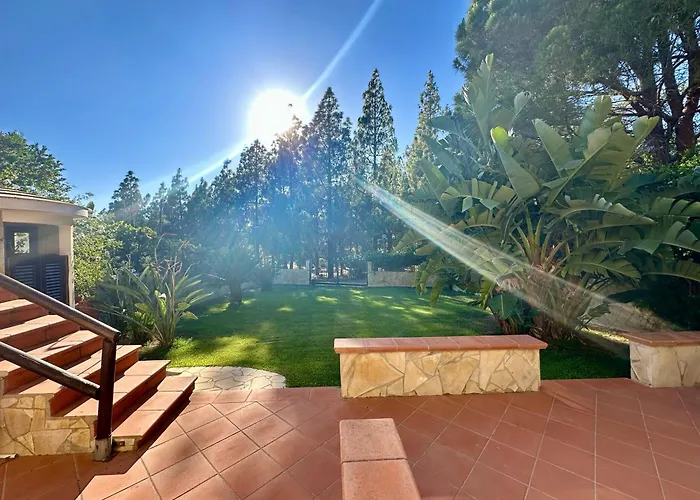 Palm House - Seaside Vacation Home! Casa vacanze